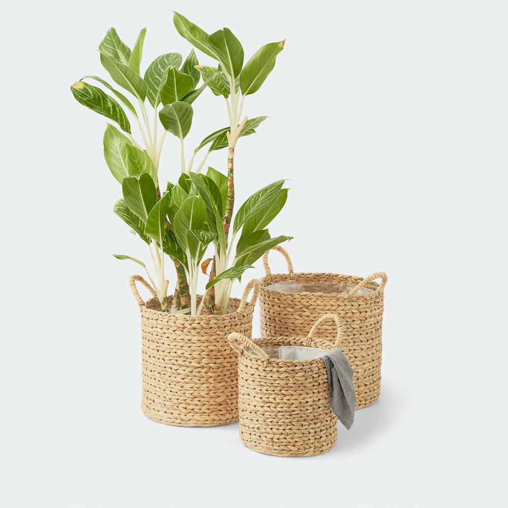 Large Hyacinth Standing Basket Set with Handles