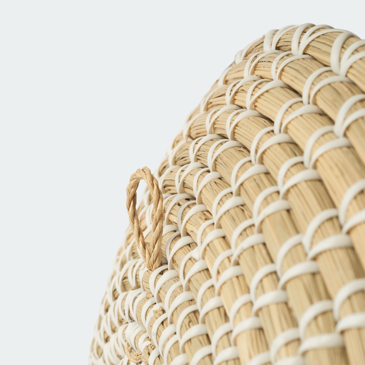 Seagrass Wall Basket Decor Set - Floral and Spiral Designs