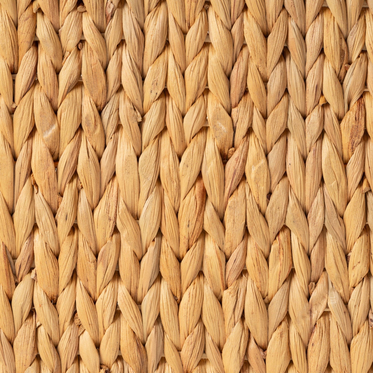 Water Hyacinth Baskets with Handles, Set of 2