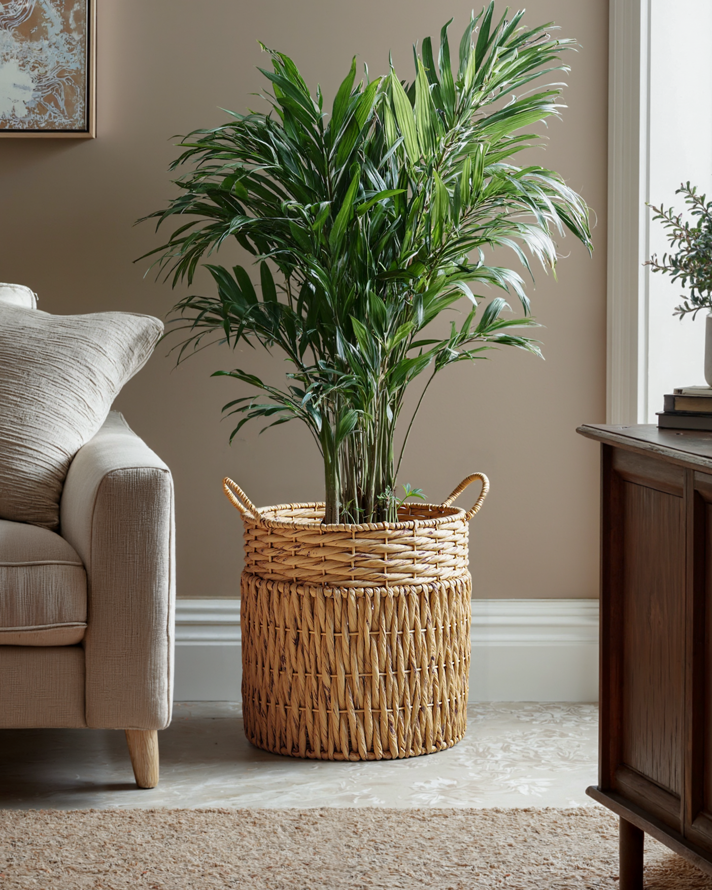 Oversize Water Hyacinth Storage Basket Collection, Set of 6